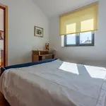 Kuca Deleut * Novi Vinodolski